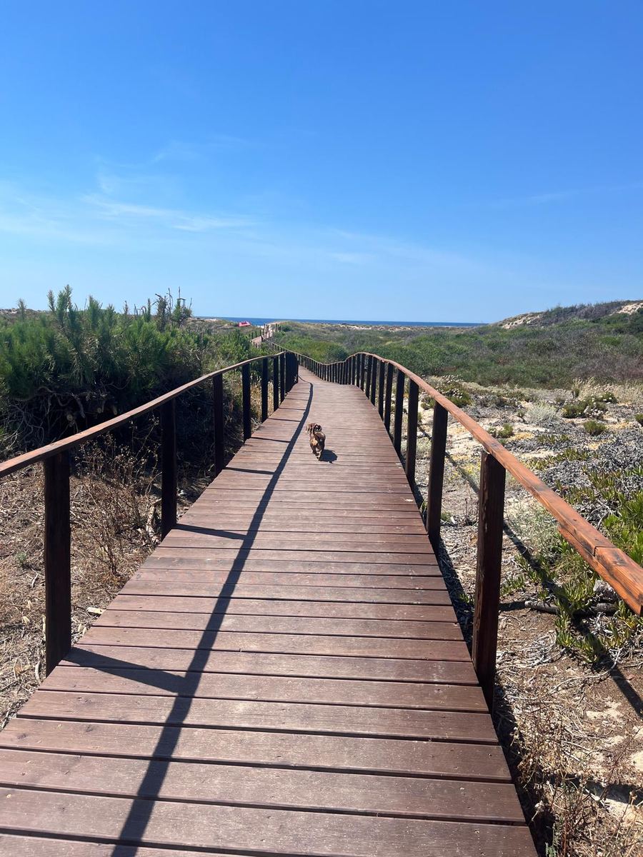 The wooden boardwalk to the beach
